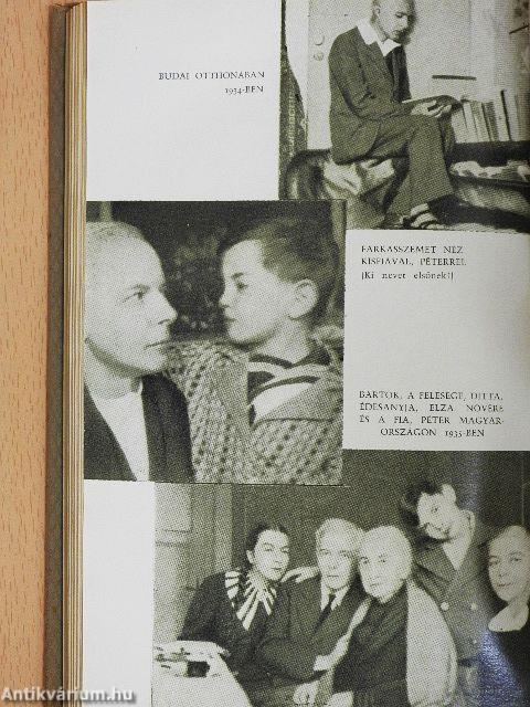 Bartók amerikai évei