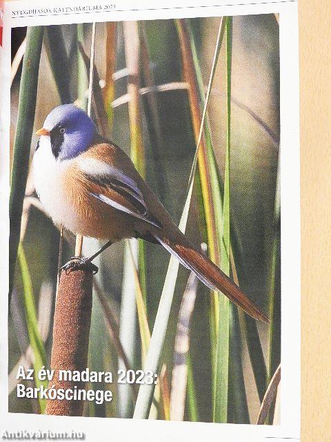 Nyugdíjasok kalendáriuma 2023