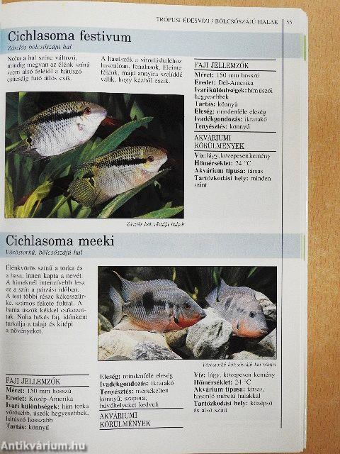 Akvarista kézikönyv