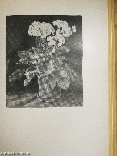 Technik der Malerei mit einer kurzgefaßten Farbenlehre/A képnézés és képalkotás művészete/Kohle und Tempera/Aquarellmalerei/Ölmalerei