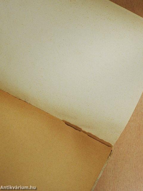 Friedrich Nietzsche Werke Auswahl in zwei Bänden I-II. (gótbetűs)