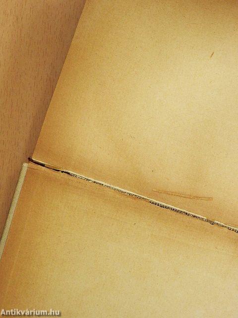 Friedrich Nietzsche Werke Auswahl in zwei Bänden I-II. (gótbetűs)