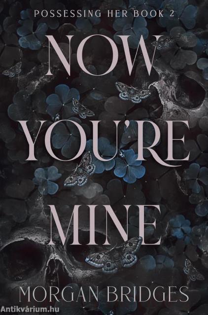 Now You're Mine (Possessing Her Series, Book 2)
