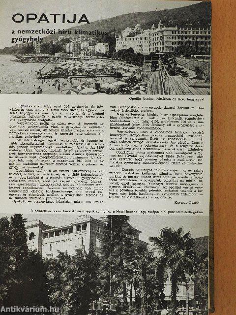 Egészség 1978. február-december, 1979-1980. január-december