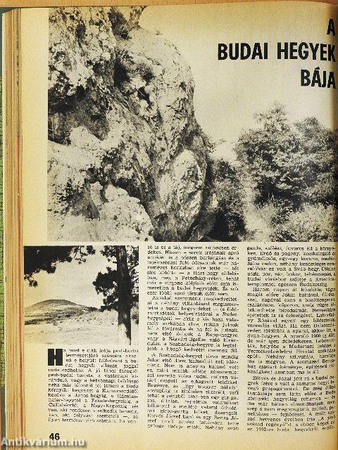 Turista Magazin 1978. (nem teljes évfolyam)