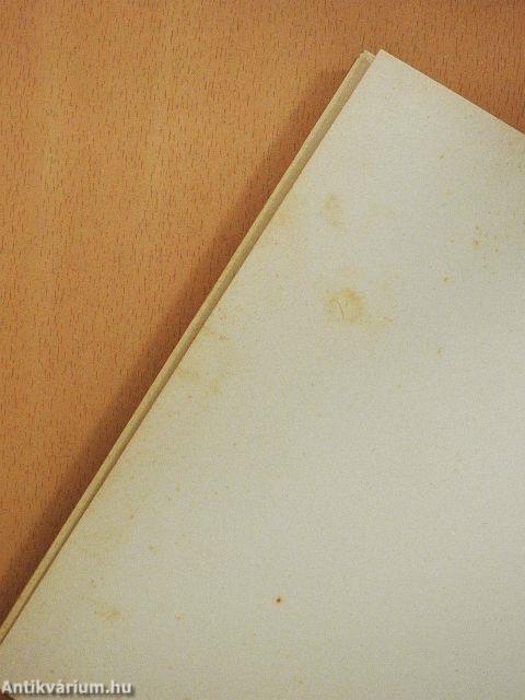 A csodakút tündére