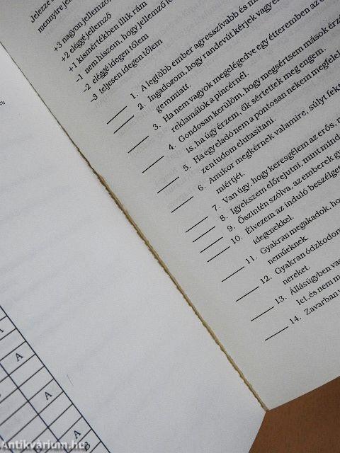 A kommunikáció elmélete és gyakorlata