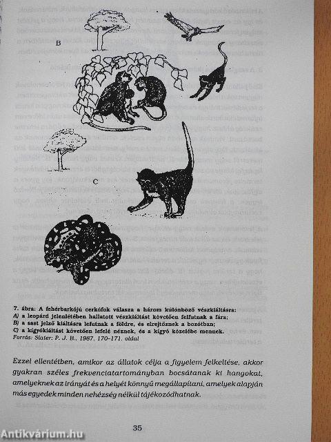 A kommunikáció elmélete és gyakorlata