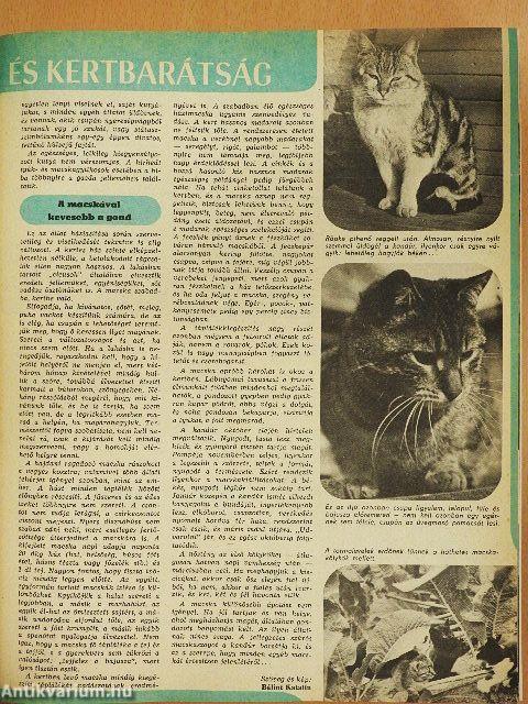 Kertbarát Magazin 1977-1980. 