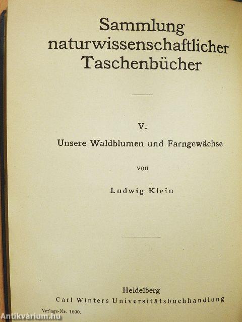 Unsere Waldblumen und Farngewächse