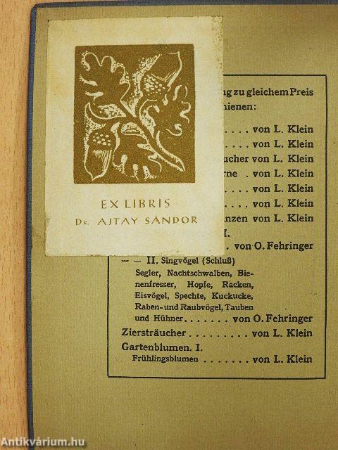 Unsere Waldblumen und Farngewächse