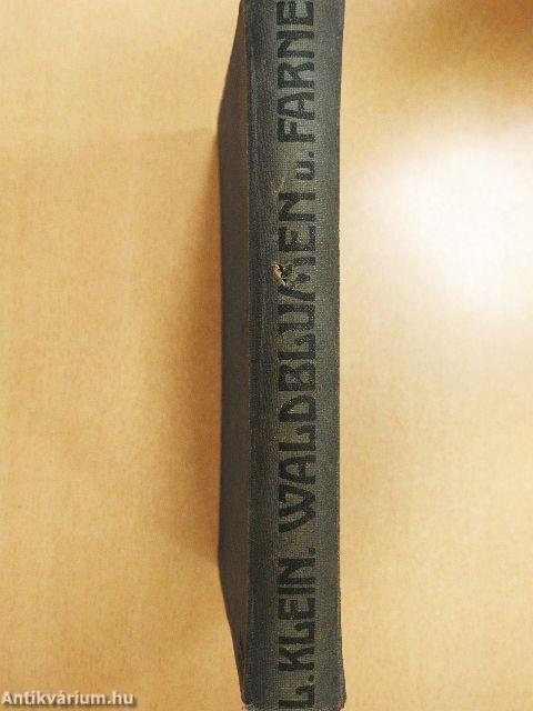 Unsere Waldblumen und Farngewächse