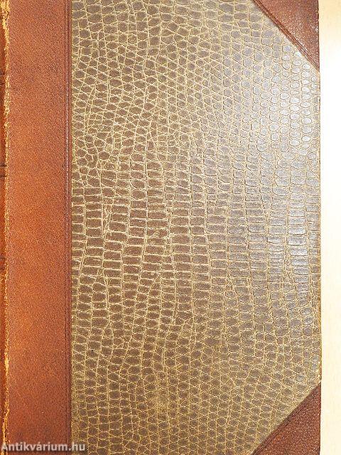 Monsieur Bergeret a Paris