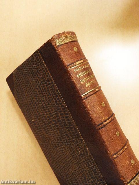 Monsieur Bergeret a Paris