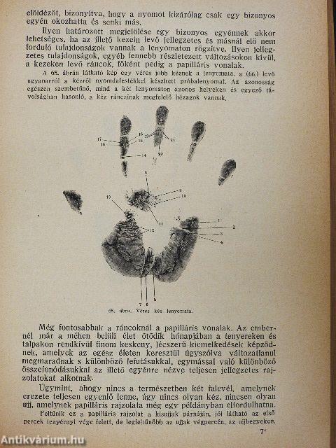 A törvényszéki orvostan tankönyve I-II.