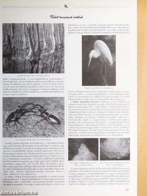 Közép-Magyarországi régió