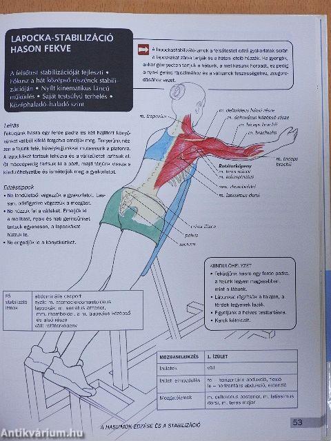 Fitneszanatómia nőknek