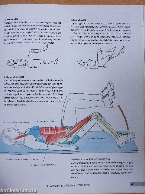 Fitneszanatómia nőknek