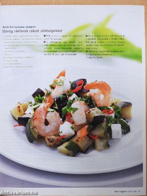 Stahl Magazin 2011. nyár