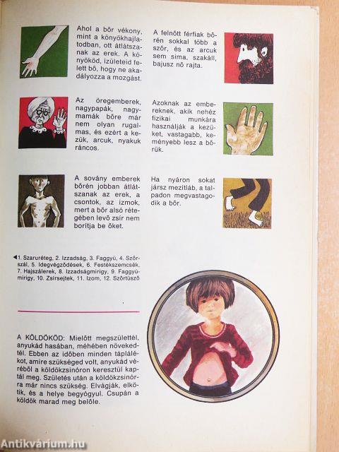 Ilyen vagyok kívül-belül