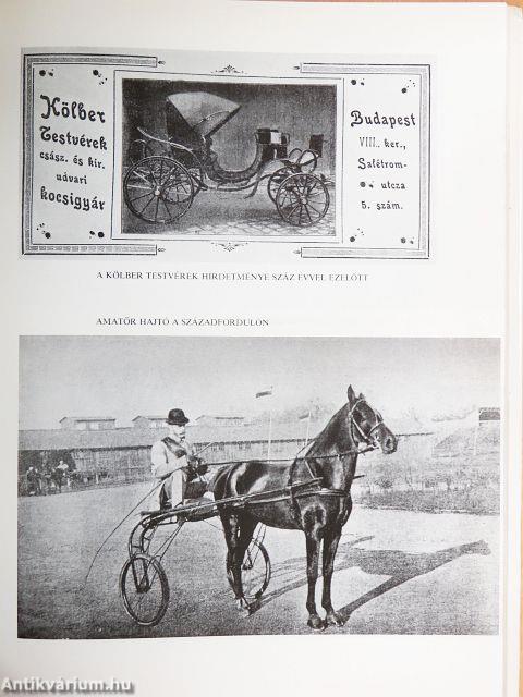 Százéves a magyar ügetőversenyzés