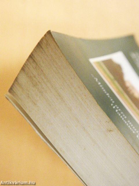 Akit a csillag hívott