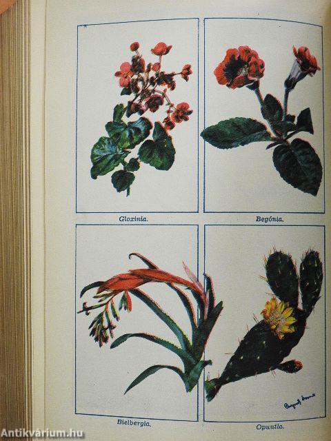 Az élet utmutatója