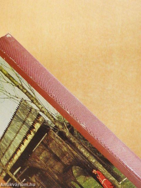 Erdély társadalom- és gazdaságföldrajza