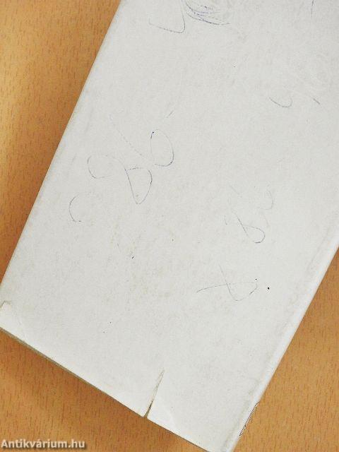 Képzelt riport egy amerikai pop-fesztiválról