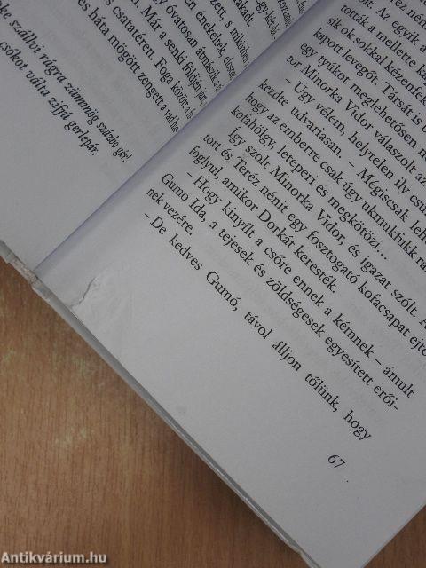 Doktor Minorka Vidor nagy napja