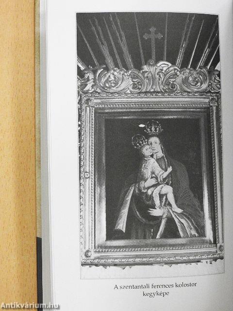 A Jó Pásztor nyomában