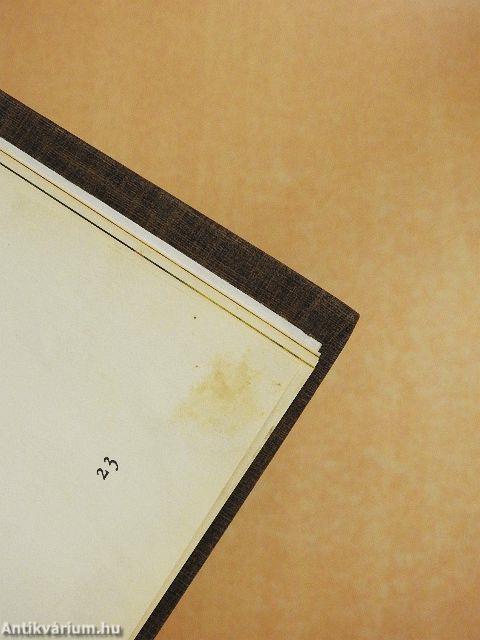 A tündérhal és a háló