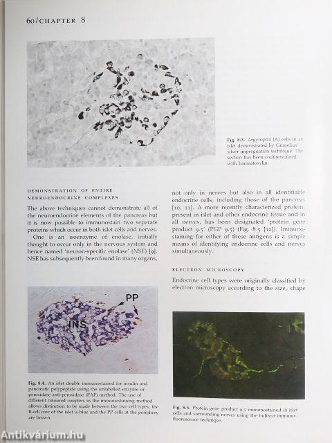 Textbook of Diabetes I.