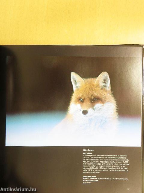 Az év természetfotói Magyarország 2004