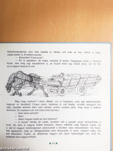 Lovak, kutyák, madarak