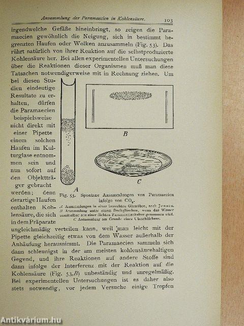 Das Verhalten der Niederen Organismen