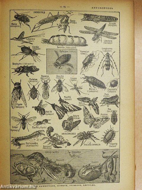 Larousse Classique Illustré