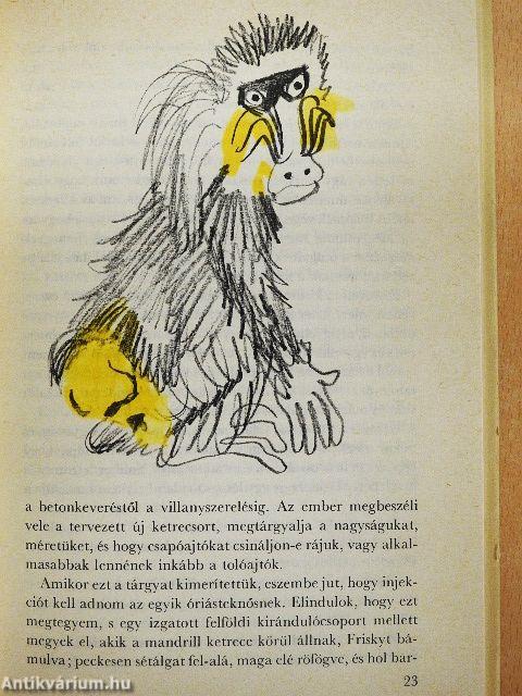 Állatkert a kastély körül