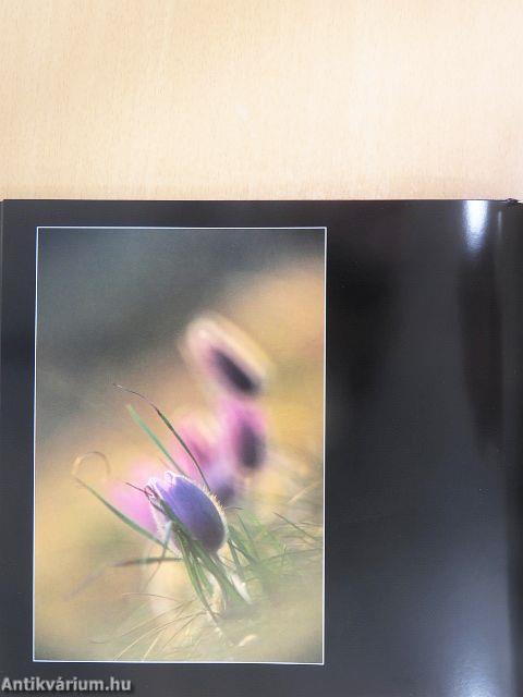 Természet és ember