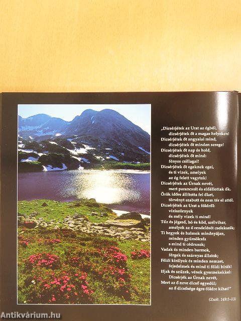 Természet és ember