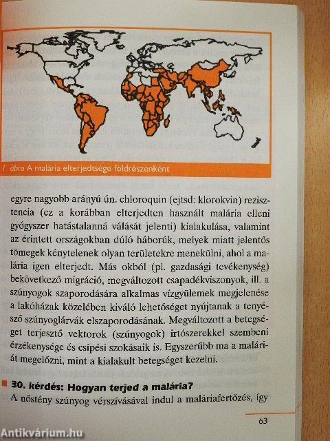 Utazás-egészség utazóknak