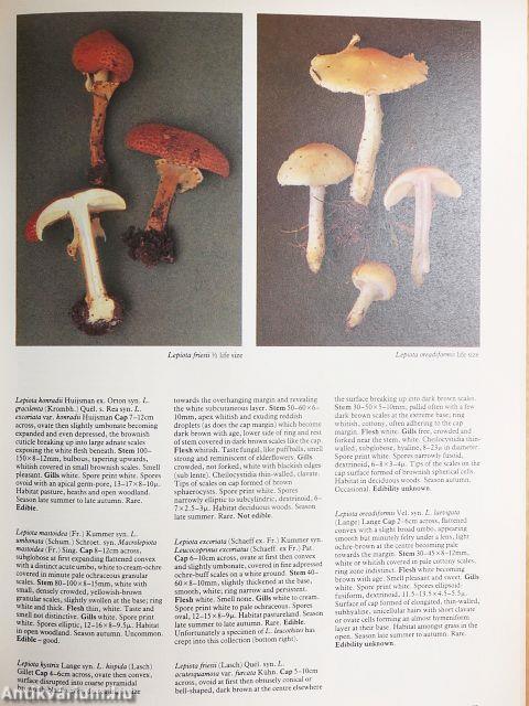 Mushrooms and Other Fungi of Great Britain & Europe