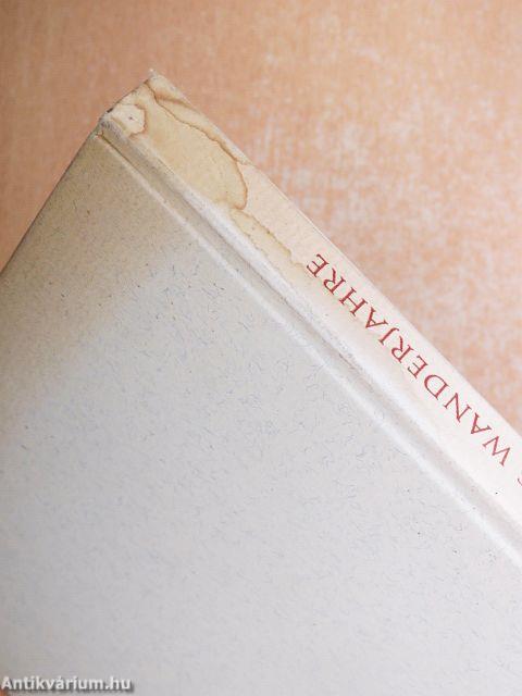 Albrecht Dürers Wanderjahre