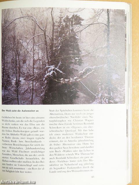 Der Wald