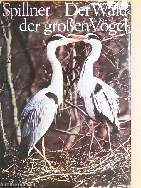 Der Wald der großen Vögel