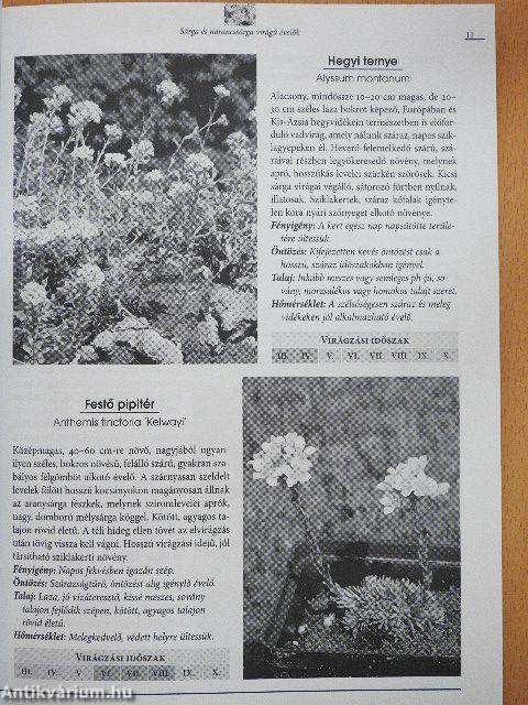 Pompázó virágoskert