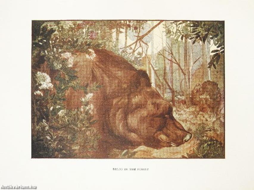 The Jungle Book