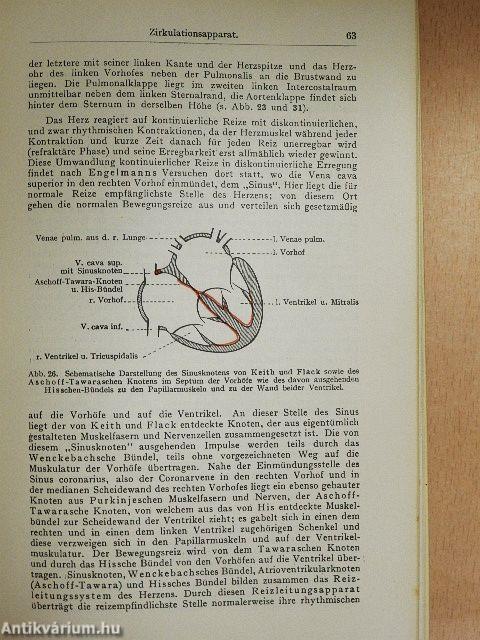 Taschenbuch der Medizinisch-Klinischen Diagnostik