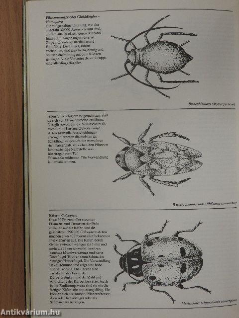Knaurs Tierleben im Wald
