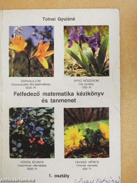 Felfedező matematika kézikönyv és tanmenet